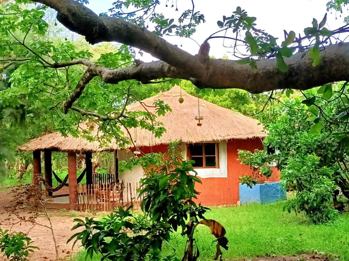 Naturubuntu Kafountine Exterior foto